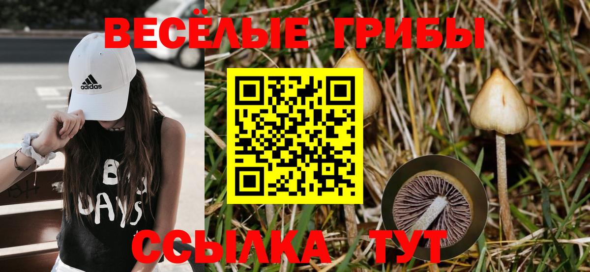 Галлюциногенные грибы мицелий Скопин